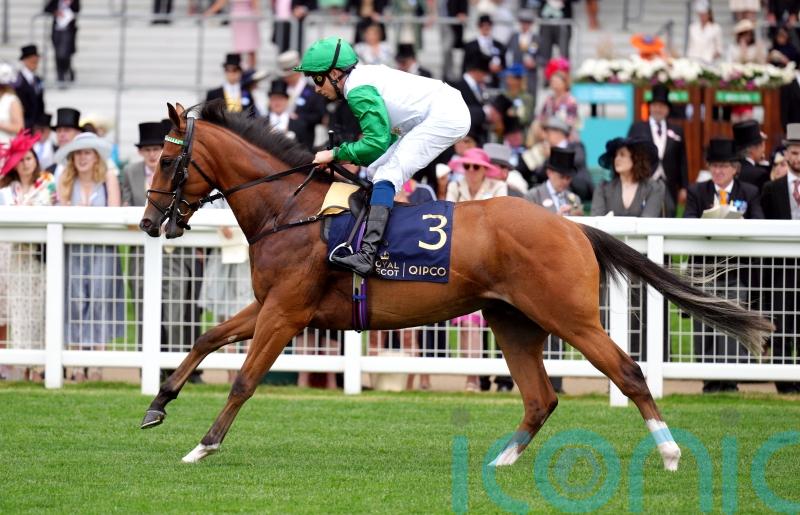 Haynes seeking Round Tower boost for Asadna