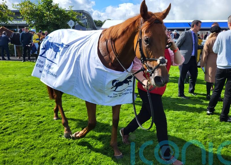 Ocean’s quest proves successful at Naas