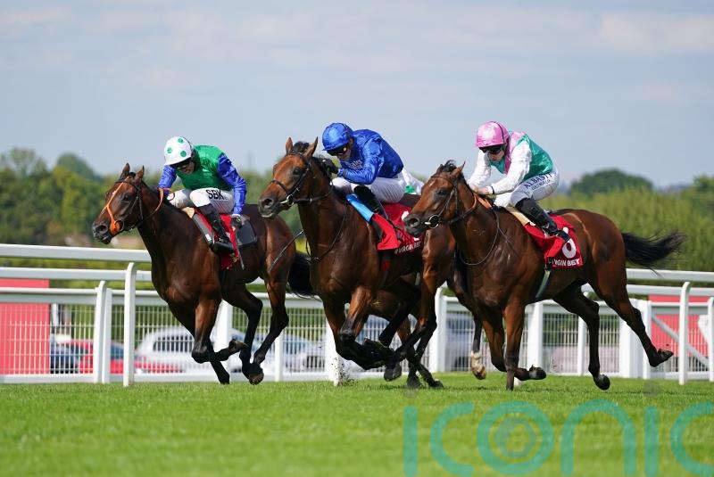 Meehan thoughts turn to Breeders’ Cup with Inishfallen