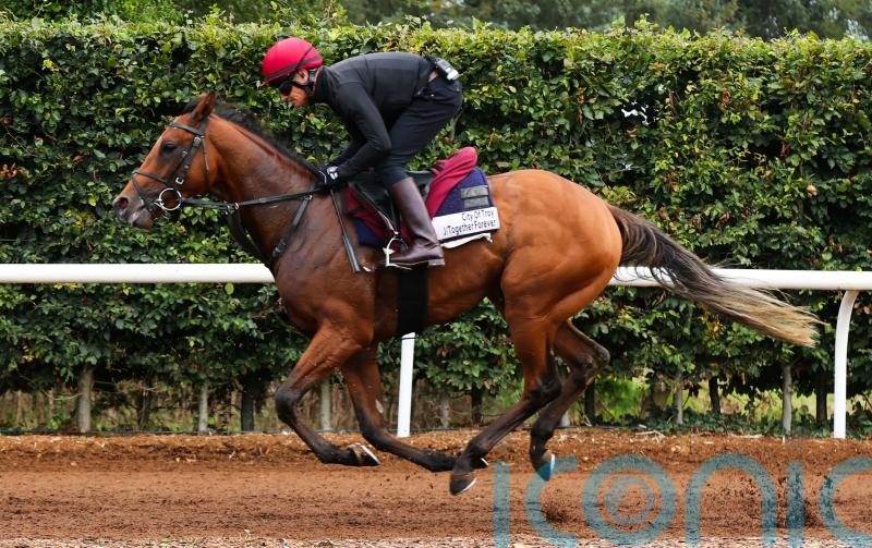 City Of Troy on course for National Stakes showdown