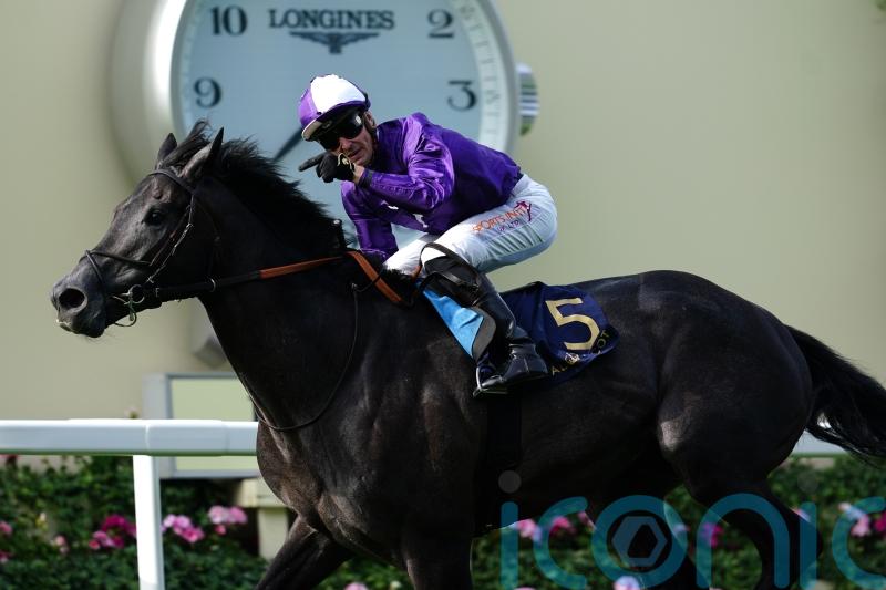 Varian ‘delighted’ with Irish Champion hope King Of Steel