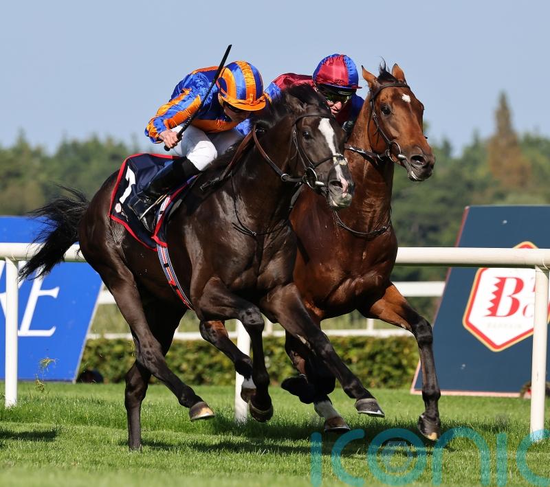 O’Brien favouring direct Breeders’ Cup route with Auguste Rodin
