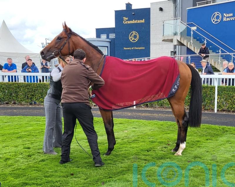 Military strikes on Naas debut