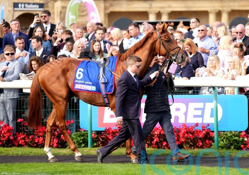 Haggas keeping Melbourne option open for now with Desert Hero