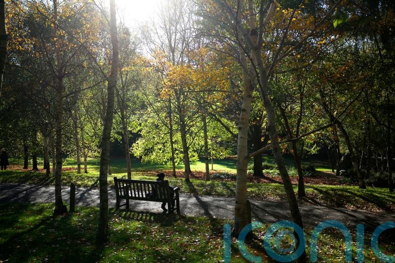 Steps you can take now to prepare for SAD this winter