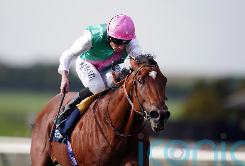 Nostrum to bypass Newmarket Challenge