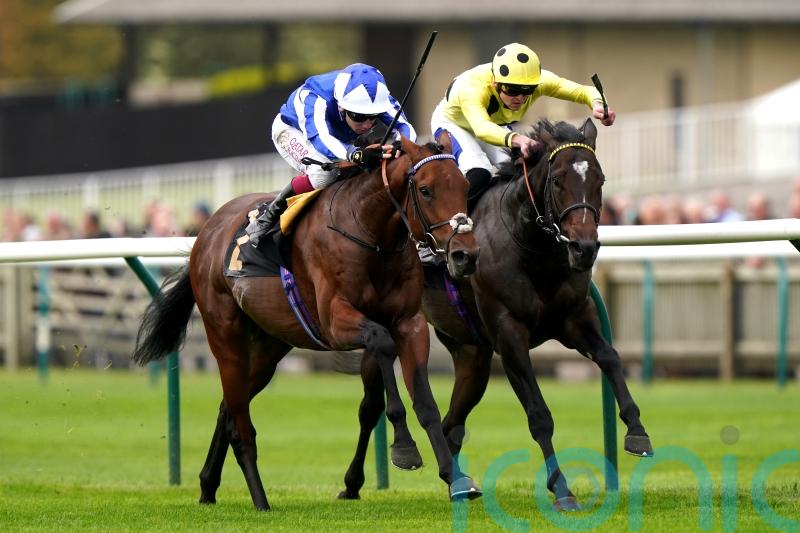 Bellum Justum too streetwise for promising Inisherin