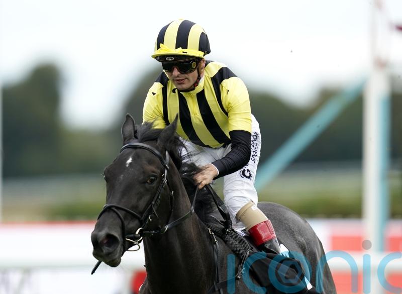 No grounds for concern at Newmarket with Vandeek