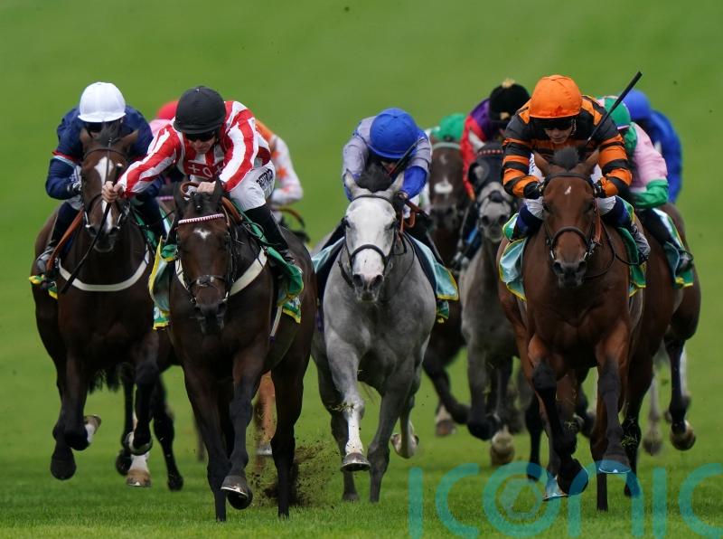 Astro King rules supreme in Cambridgeshire