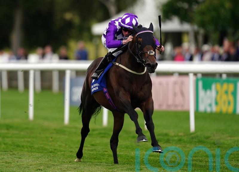 Shaquille set for racecourse spin ahead of possible Ascot date