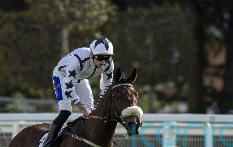 Al Qareem shows guts and class in Cumberland Lodge victory