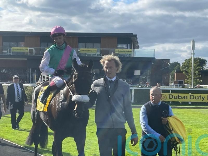 Array supplemented to tackle City Of Troy in Dewhurst