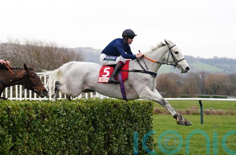 Popular mare Snow Leopardess retired to stud