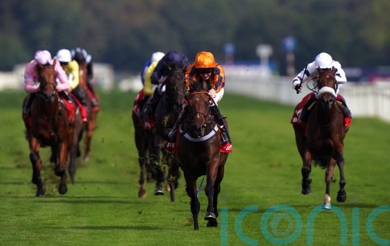 Dancing Gemini all set for Futurity Trophy challenge