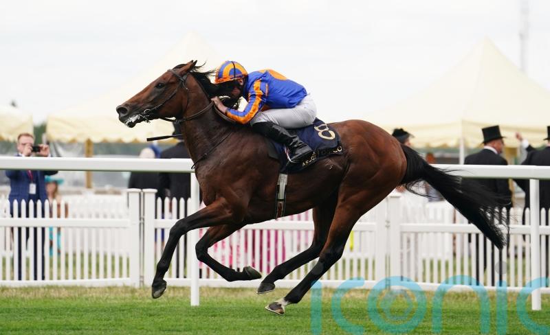 Paddington retired after setback rules out trip to Santa Anita