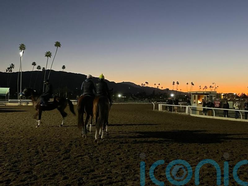 Classic favourite Arcangelo ruled out of Breeders&rsquo; Cup