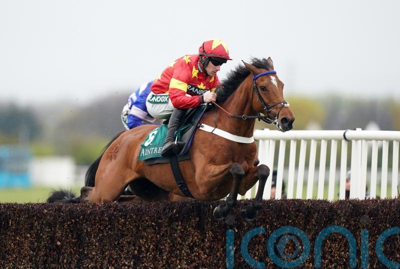 McCain prefers Pattern-race options for Minella Drama