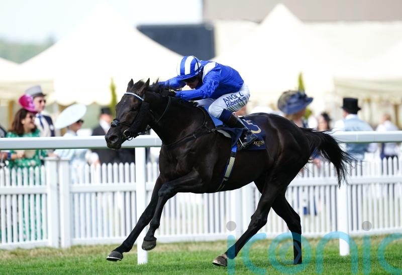 Mostahdaf will stand in Newmarket after final start in Breeders’ Cup Turf