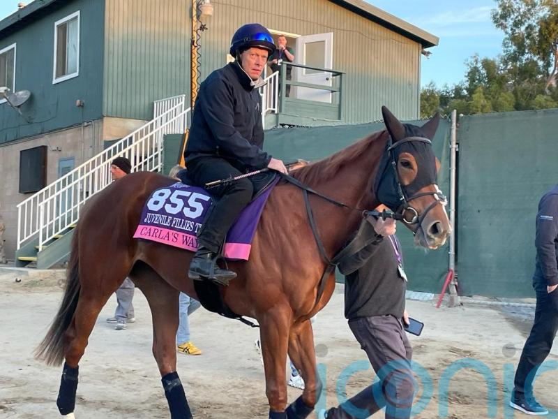 Carla&rsquo;s Way primed for Porta Fortuna showdown