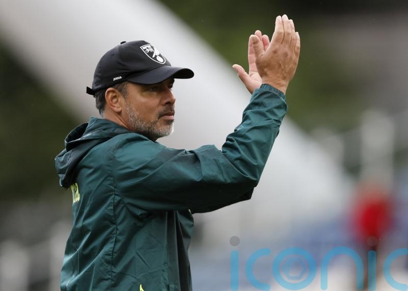 David Wagner points to Norwich’s ‘togetherness’ after late win at Cardiff