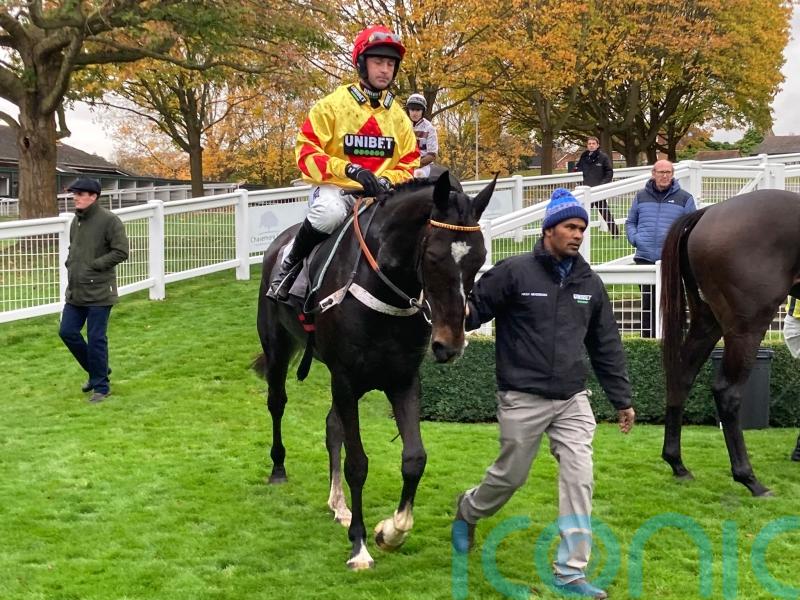 Southoftheborder delights Henderson at Sandown