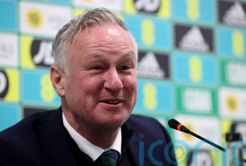Michael O’Neill calls Northern Ireland win over Denmark step in right direction