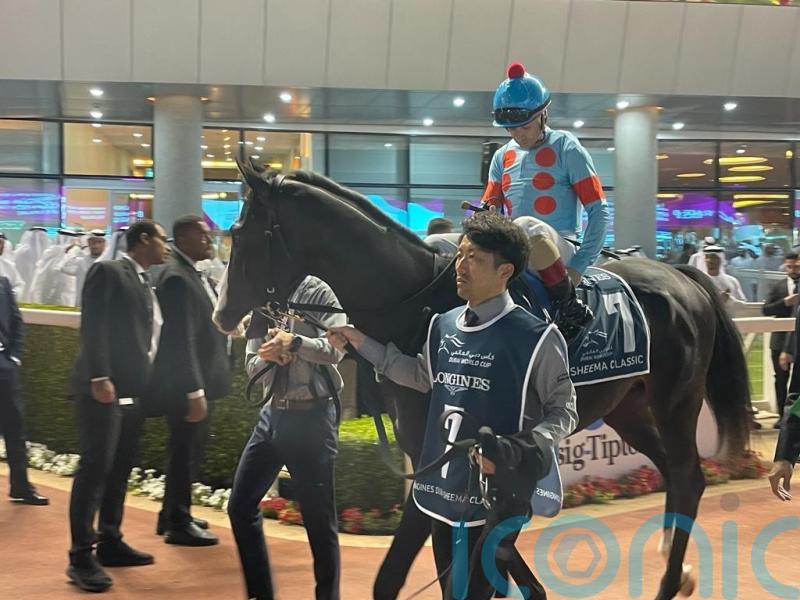 Superstar Equinox sparkles with Japan Cup glory