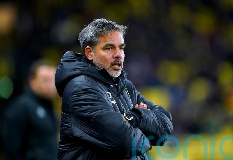 David Wagner understands fans’ reaction after Norwich lose to Watford