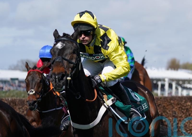 Shishkin given go ahead for swift Newcastle return