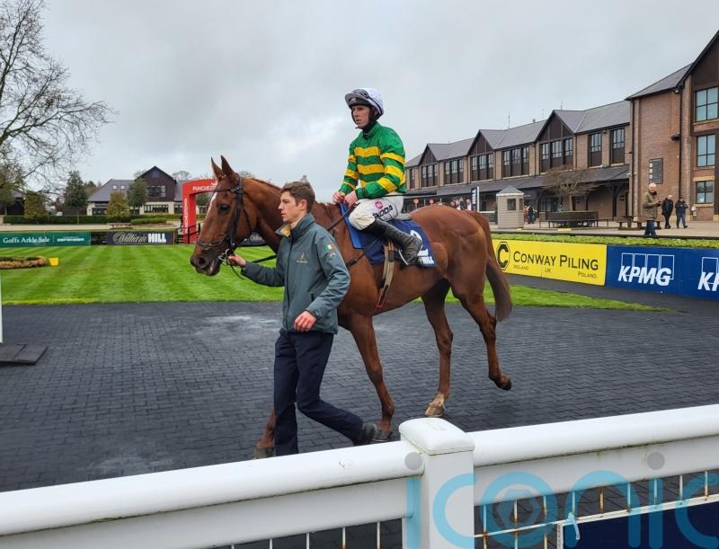 Elixir D’Ainay returns to win after mammoth absence