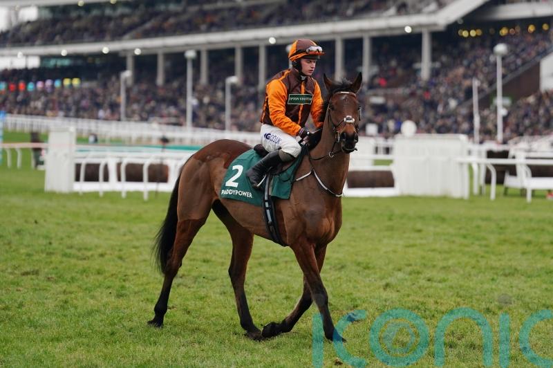 Noble Yeats shows promise in defeat with future in mind
