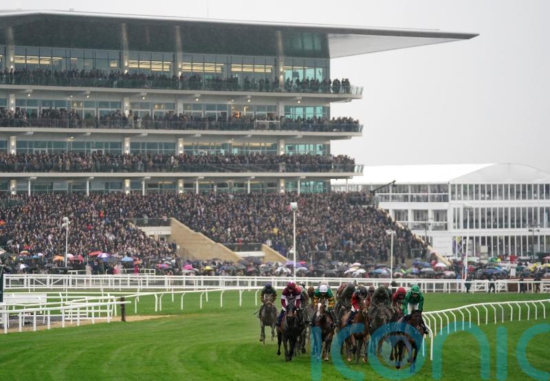 Theleme to prep for Cheltenham with outing on the Flat