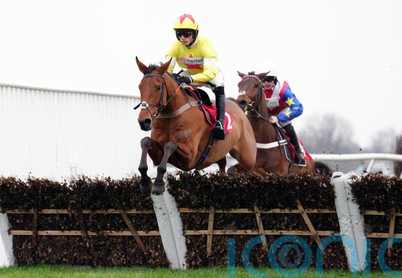 Nicholls mapping out next options for smart juveniles