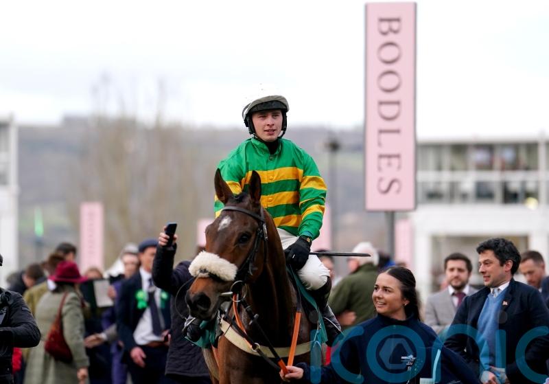 Cheltenham Festival novice chase entries include Iroko