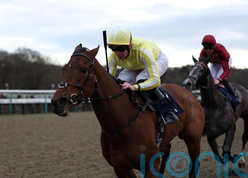Oh So Grand for Crisfords with back-to-back wins in Winter Oaks