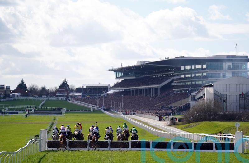 Theleme ruled out of Stayers’ Hurdle following setback Limerick Live