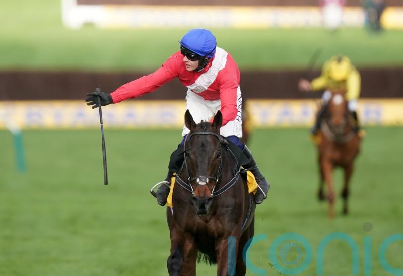 Allaho ruled out of Cheltenham Festival due to injury