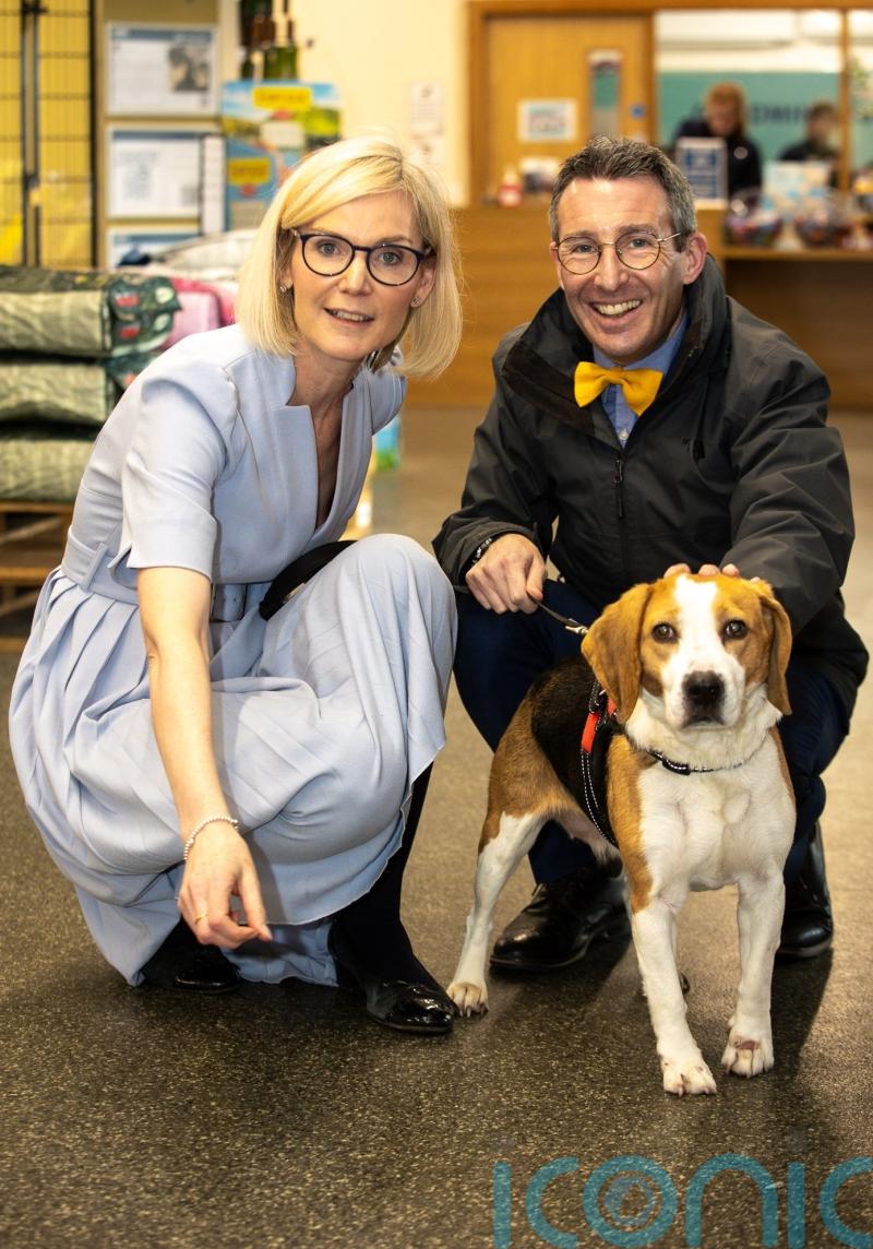 Stopping animal cruelty will be a top priority, says minister