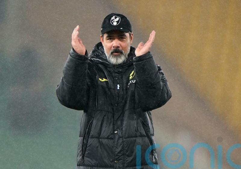 David Wagner says some Norwich fans ‘should stay at home’ after win over Watford