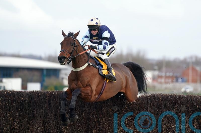 Cannon convinced Edwardstone can make Champion Chase impact