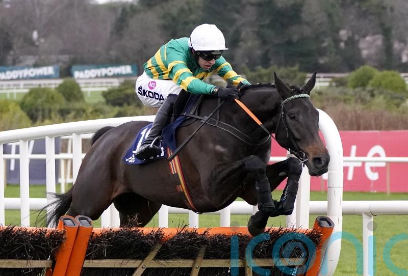 No Cheltenham Festival for Flies this year
