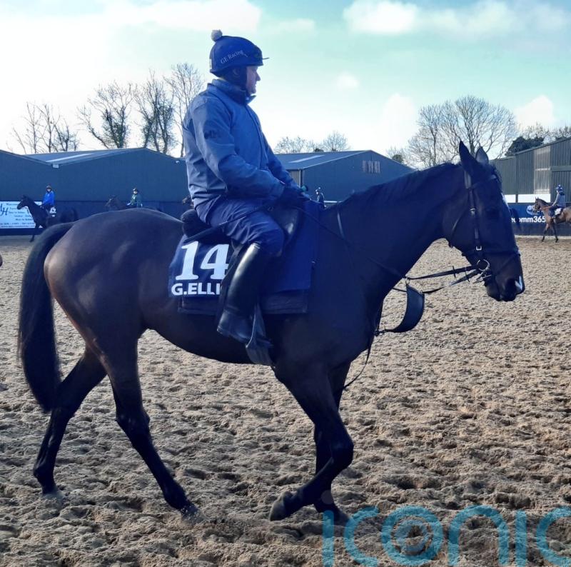 Elliott admits ‘awesome’ Galopin hard to top at Cheltenham