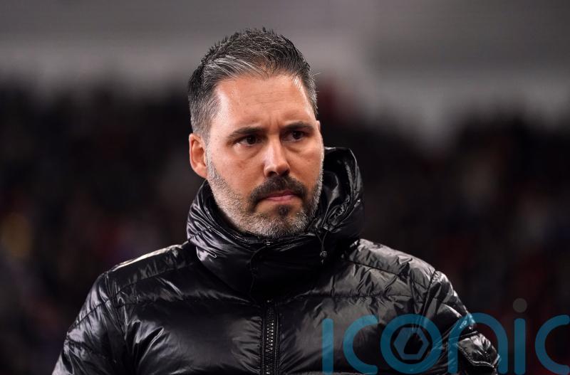 Marti Cifuentes confident of QPR survival despite Middlesbrough defeat