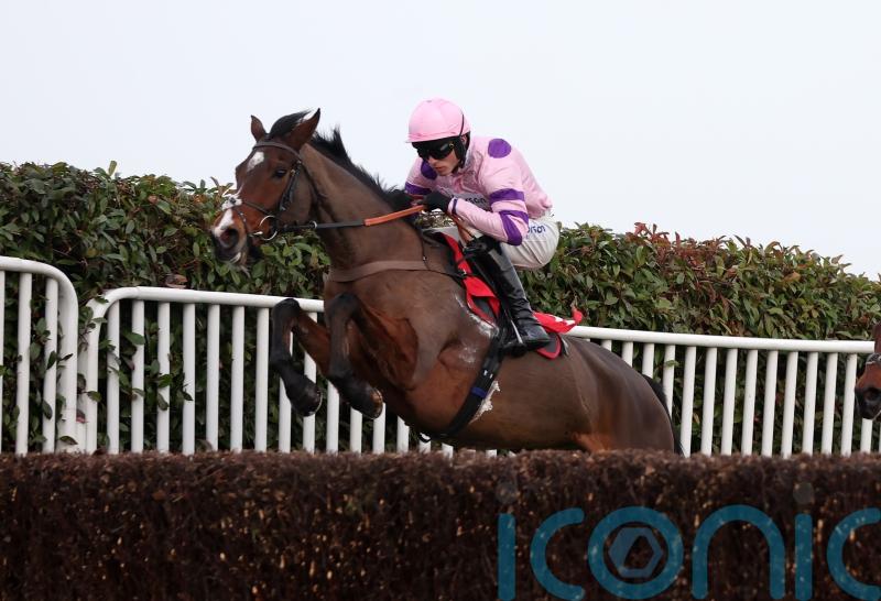 Nicholls expecting cheekpieces to ‘sharpen’ up Stay Away Fay