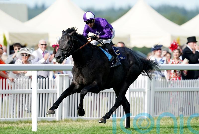Varian plotting Royal Ascot route for King Of Steel