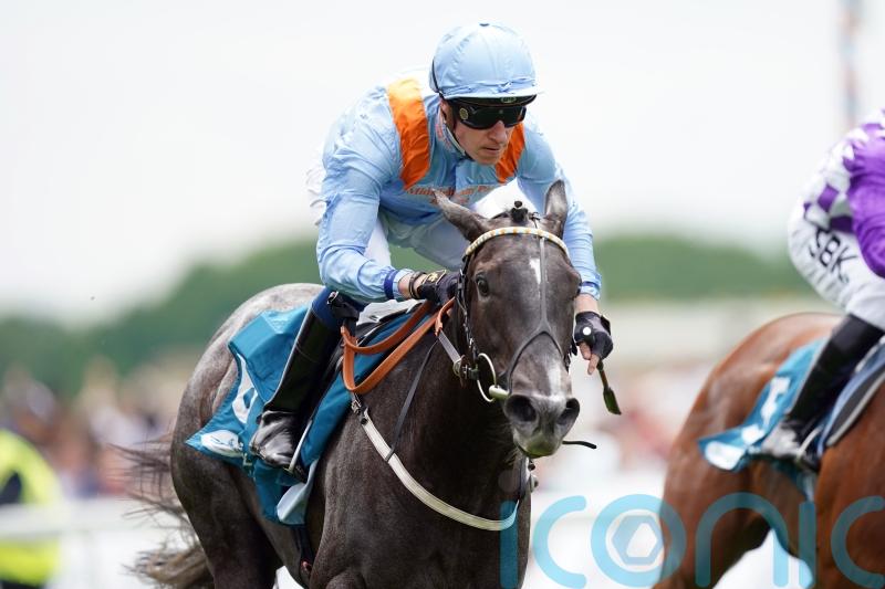 Chantilly return mapped out for Got To Love A Grey
