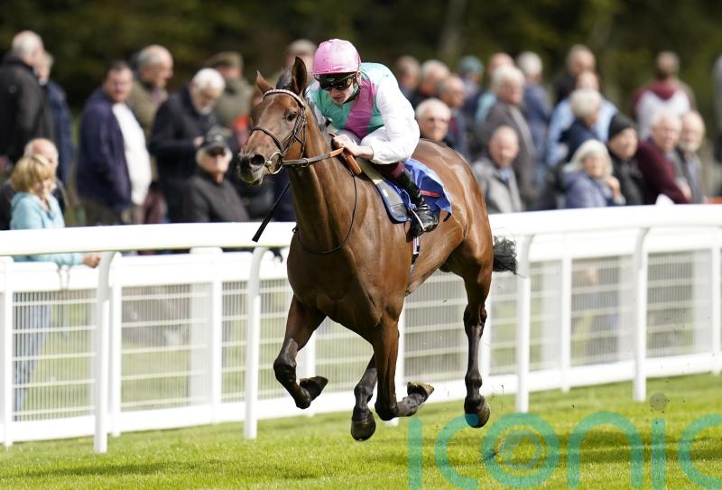 Irish Oaks runner-up Bluestocking ‘is back and looks great’
