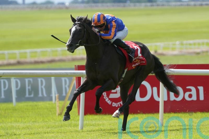 Big year for Auguste Rodin starts in Sheema Classic