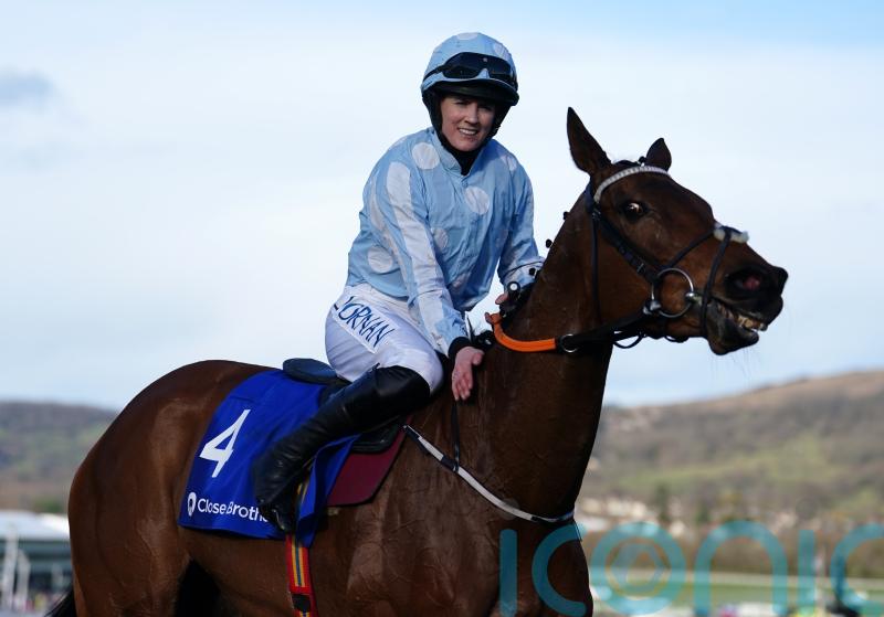 Honeysuckle gives birth to first foal