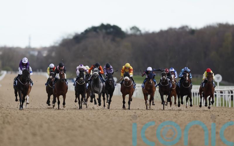 All-weather fields encouraging but jumps racing &lsquo;short&rsquo; on numbers